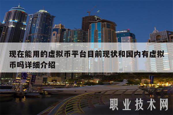 现在能用的虚拟币平台目前现状和国内有虚拟币吗详细介绍-第1张图片-交易所